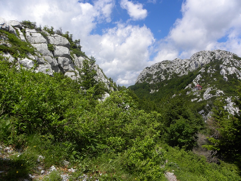 istria2009 1059.jpg - Risnjak - nagle wyłania się schronisko u podnóża szczytu